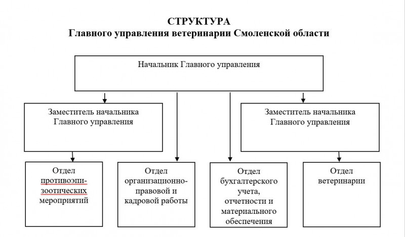 snimok