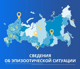 информация об эпизоотической ситуации в Российской Федерации по состоянию на 25 сентября 2023 г - фото - 1