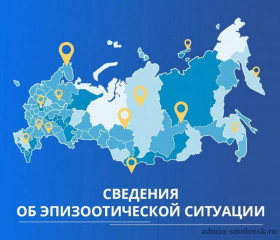 информация об эпизоотической ситуации в Российской Федерации по состоянию на 03 декабря 2023 г - фото - 1