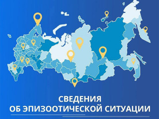 информация об эпизоотической ситуации в Российской Федерации по состоянию на 28 января 2024 г - фото - 1